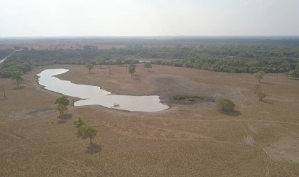 Séries Originais explica por que os rios são as 'veias do Pantanal'
