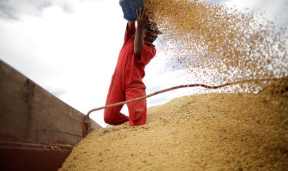 SLC Agrícola e Terra Santa assinam memorando para combinação de negócios