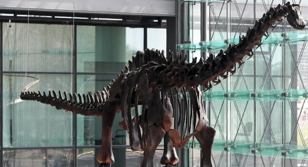 Ossada de Diplodocus em estação ferroviária em Berlim, Alemanha
