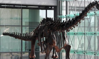 Por que alguns dinossauros tinham pescoços tão longos