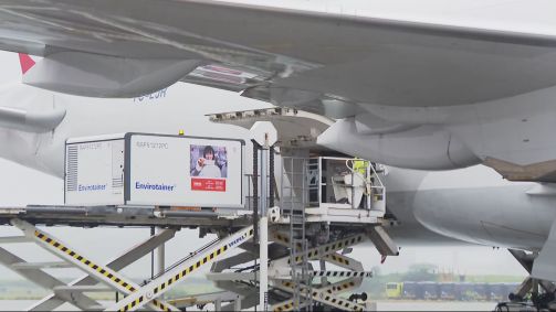 Primeiras doses da vacina Coronavac chegando em São Paulo (19.nov.2020)