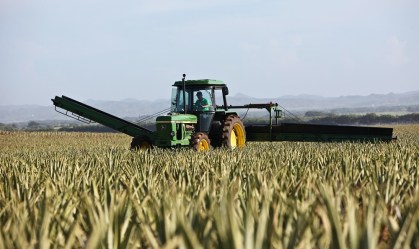 Tratores e colheitadeiras poderão circular em vias públicas; saiba como funciona