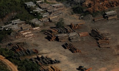 Desmatamento na Amazônia cresce 59% em julho e registra maior taxa em 6 meses