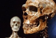 Pesquisa indica qual foi a vantagem dos humanos modernos sobre neandertais