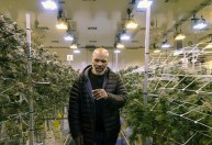 Mike Tyson detalha jejum de sexo e maconha antes de luta contra Jake Paul