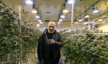 Mike Tyson; maconha