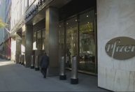 Pfizer inicia estudo de medicamento oral para prevenção da Covid-19