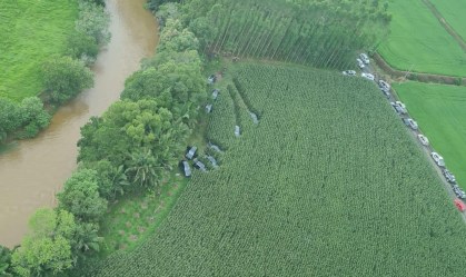 Criciúma (SC): carros usados por criminosos na fuga são encontrados em milharal