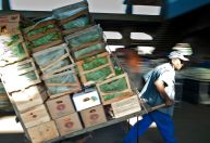 Inflação de abril não é suficiente para mudar narrativa do BC sobre Selic, dizem analistas