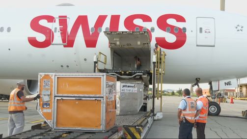 Vacina Coronavac chega ao Brasil  (03.dez.2020)