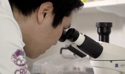 Séries Originais de hoje relembra início da epidemia de zika, em 2015