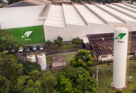 Klabin aprova R$ 1,1 bilhão em dividendos e aumento de capital