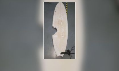 Ataque de tubarão suspende etapa feminina do Mundial de Surfe no Havaí