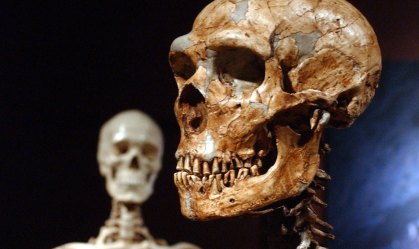 Parte do DNA humano atual ainda carrega traços das interações sexuais pré-histór