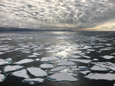 Blocos de gelo no Estreito de Fram, entre a Groenlândia e Svalbard.