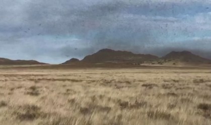 Nuvem de gafanhotos ataca fazendas na África do Sul