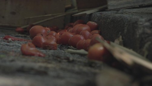 Desperdício alimentos