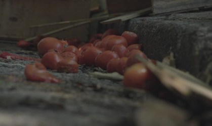 Fome volta a rondar o Brasil, que desperdiça 40% dos alimentos produzidos