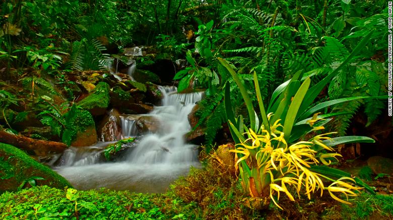 O Vale do Zongo é repleto de cachoeiras naturais