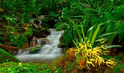 O Vale do Zongo é repleto de cachoeiras naturais