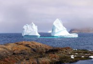 Análise: Quanto custaria para os EUA comprar a Groenlândia?