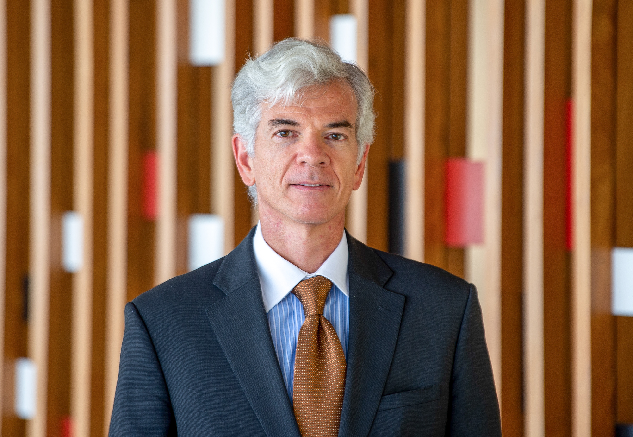 Fabio Mendes Marzano