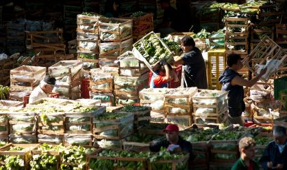 Índice de preços no atacado da Ceagesp recua 0,55% em agosto