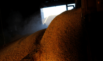 Safras de milho, cana, café e laranja terão perdas por falta de chuvas