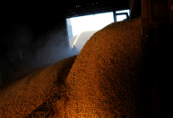 Agro critica planejamento fiscal do governo após suspensão no Plano Safra