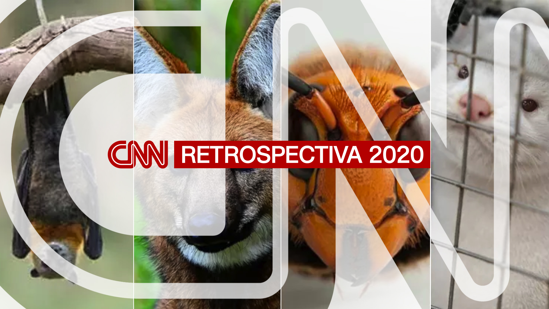 Retrospectiva 2020