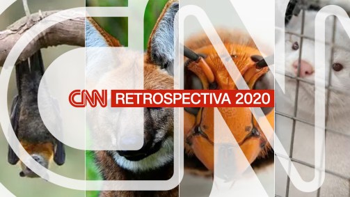 Retrospectiva 2020