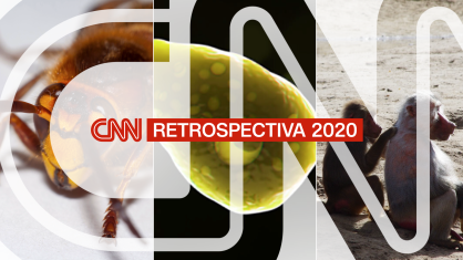 Retrospectiva 2020: As notícias mais bizarras de 2020