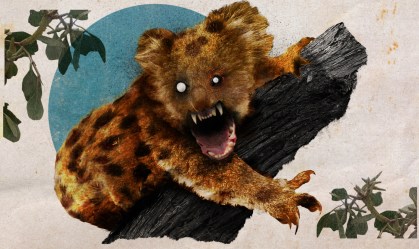 O "urso caído", criatura mítica da Austrália