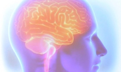 Como aproveitar a neurociência para viver melhor, segundo uma cientista
