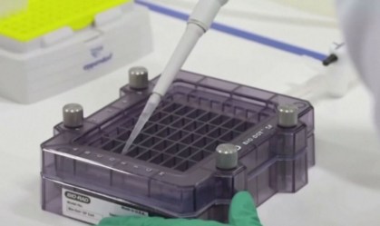 Cientistas britânicos testam medicamento para prevenir infecção por coronavírus