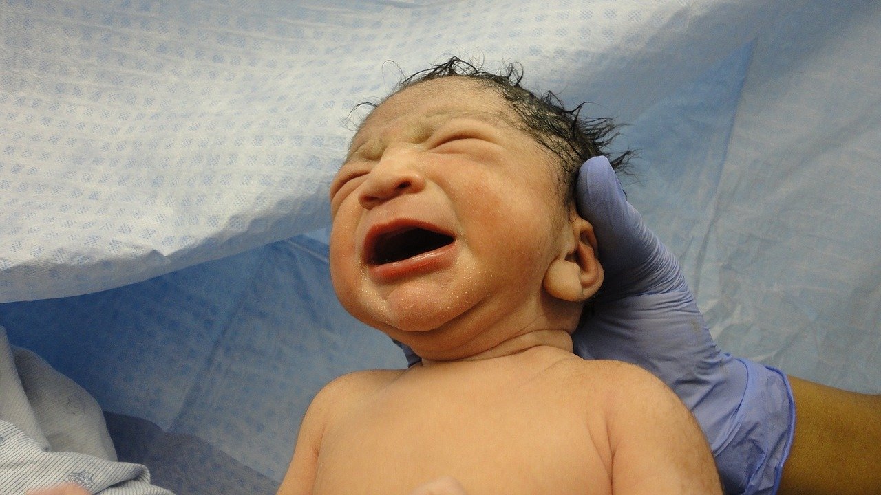 22012_42FDA95F974B3F48-1.jpg