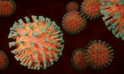Mutação mais contagiosa pode ter causado reinfecção na BA, diz estudo preliminar