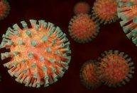 Cientistas testam tratamento com nanopartículas que elimina Covid-19
