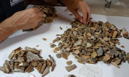 Esqueleto de criança neandertal de 41 mil anos pode resolver mistério antigo