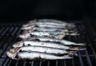 Vamos perder competitividade com as tarifas, diz setor dos pescados