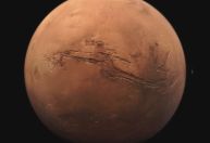 Starship fará viagem a Marte no final de 2026, diz Elon Musk