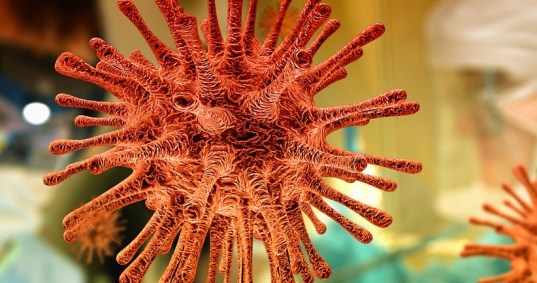 Partícula do novo coronavírus