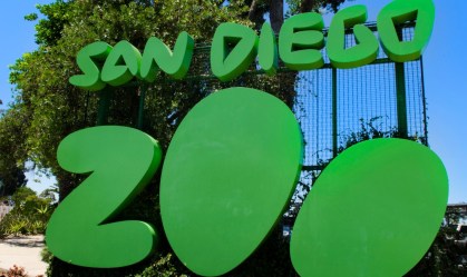 Dois gorilas no zoológico de San Diego testam positivo para Covid-19