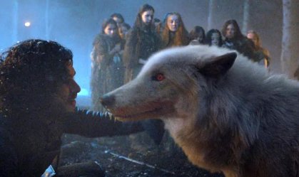 Análise de DNA detalha lobo extinto que inspirou mascote de Game of Thrones