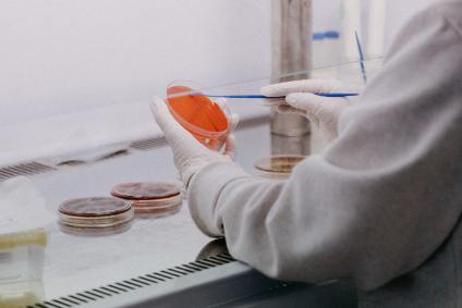 Pesquisa, laboratório, ciência, imunidade, covid-19