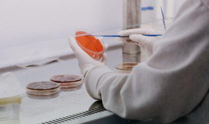 Pesquisa, laboratório, ciência, imunidade, covid-19