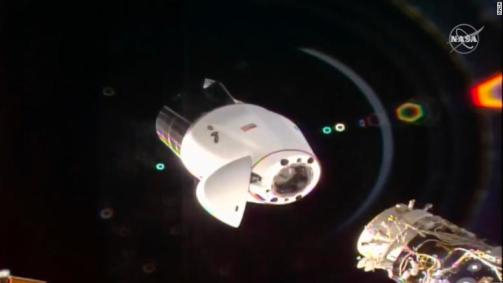 Space X vinho