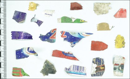 Fragmentos de diferentes embalagens plásticas foram encontrados no local