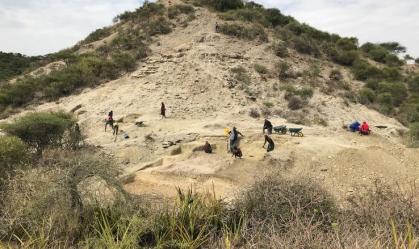 Primeiros humanos já se adaptavam às mudanças ambientais há 2 milhões de anos