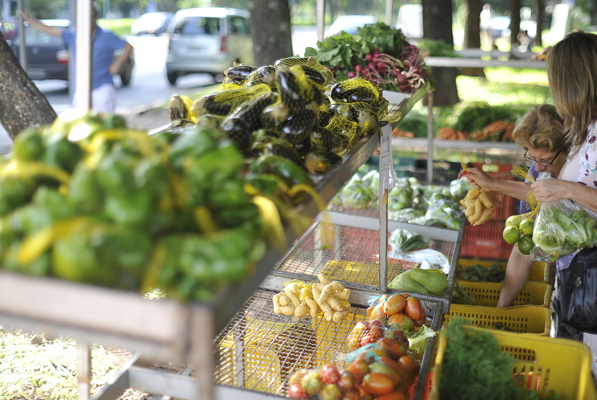Alimentos frescos predominam o padrão alimentar nacional, aponta IBGE